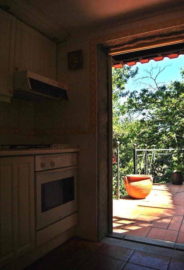 Villa Quinta Do Freixieiro Cinfães Exterior foto
